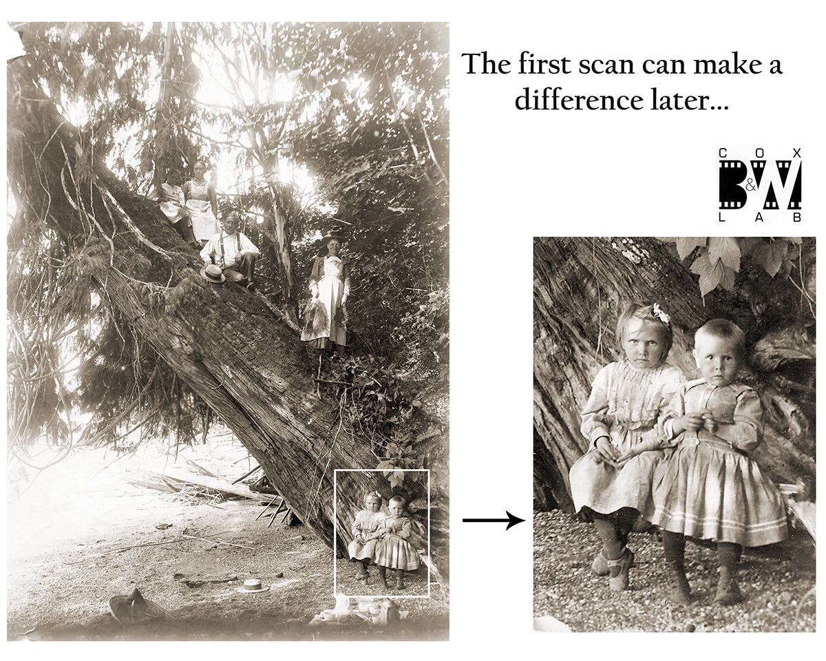 Cropped inset of young girls from large tree.